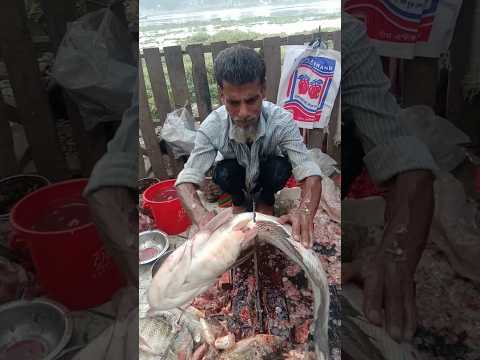 Amazing Boal Fish Cutting Skills Part-139 🐬🐟 #shorts