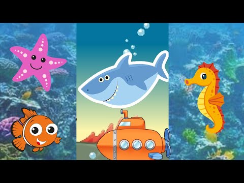 Little Baby Shark Dance Song at Ocean with Dolphin octopus Animals Sea | Kids song Nursery rhymes