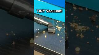 TINY Vacuum vs Ants!!
