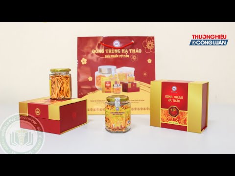 Nấm Đông Trùng Hạ Thảo - Thành quả nghiên cứu khoa học của Trường Cao đẳng Dược TW Hải Dương