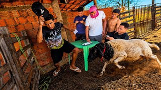CARNEIRO BRABO ATACA O BRUTINHO E O Pl0R ACONTECE