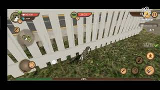 Gameplay - Simcat, symulacja życia kota