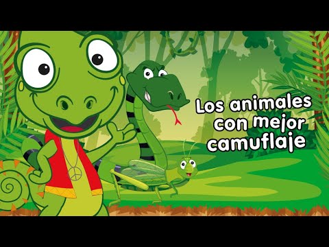 Animales camuflados los mejores
