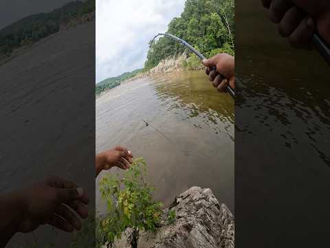 Found a Rod in the Water with Something on it…
