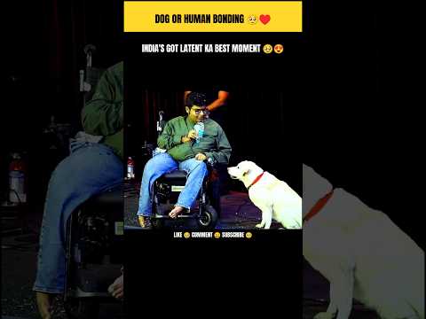 She's so cute 🥹❤️ Dog Human Love Bonding 😍 #dog #shortfeed #viralvideo #cute #indiagotlatent