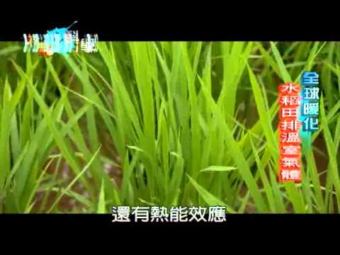 34. 水稻是暖化幫兇？ - YouTube(1min)