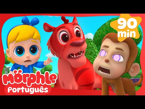 Morphle e os Animais Hipnotizados! | Maratona do Morphle Brasil! | Desenhos Animados em Português