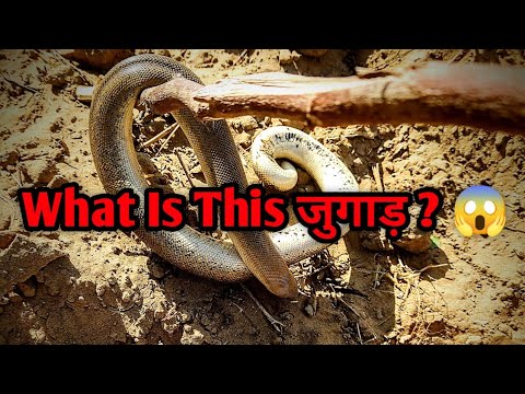 Ye Kya Hai ? #Snake #fact