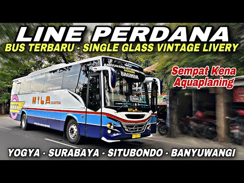 LINE PERDANA Bus Terbaru Single Glass Vintage 😍 Kena Aquaplaning ❗️| trip MILA SEJAHTERA “ Baginda “