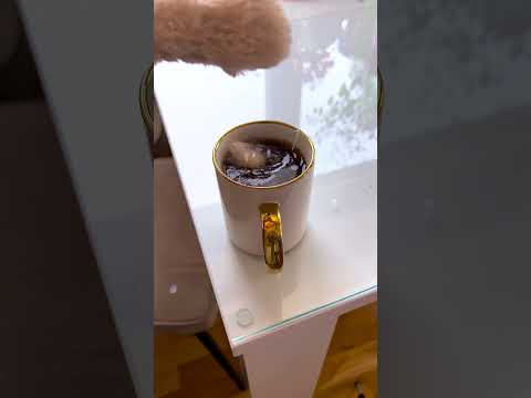 Cat Gets REVENGE! ๐พ๐ผ Stepped On Food = CHAOS! ๐๐ฝ๏ธ #shorts ๐