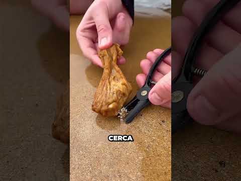 ¡Este gusano gigante se esconde bajo la arena!