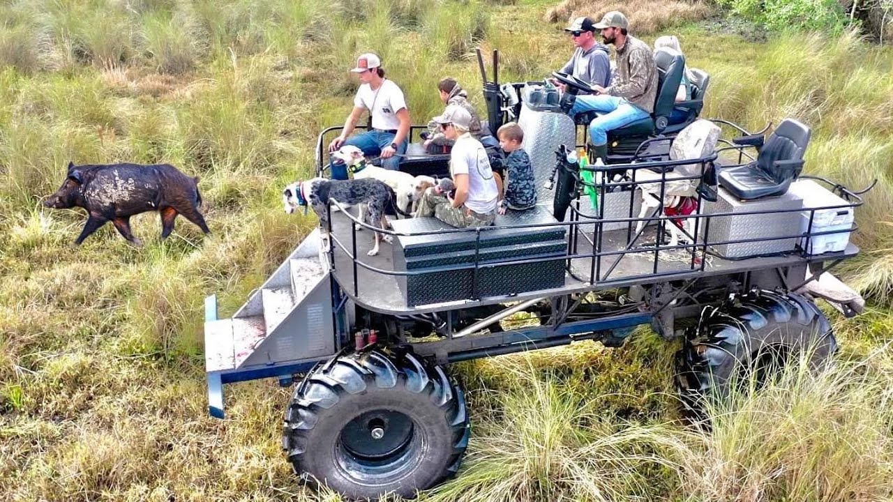 Catching -WILD HOGS- with DOGS off a GIANT SWAMP BUGGY (Catch & Cook Bluegabe Style) - Bluegabe