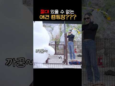 니가 왜 여기서 나와..?🐶 #왕구