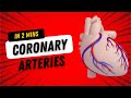 Coronary Arteries and Infarcts