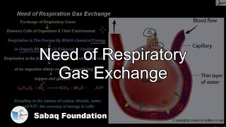 Need of Respiratory Gas Exchange