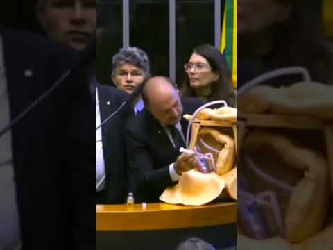 Parlamentar mostrar como é procedimento liberado por Alexandre de Moraes para interromper gestação