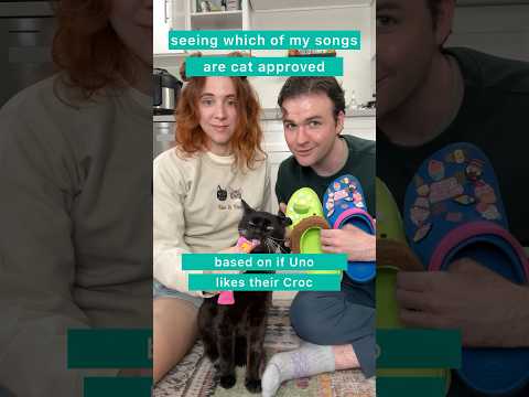 does @one_eared_uno approve of my songs? 🐈‍⬛ (w/ @thekatcurtis)