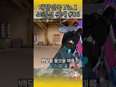 전 날먹을 하지 않습니다  #마닥개 #발로란트 #조준선 #조준선추천