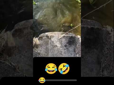 vai curioso toma recebe ๐คฃ๐คฃ๐๐๐๐๐๐๐๐๐๐๐๐๐คฃ๐๐๐ฑ๐๐๐๐คฃ๐คฃ๐