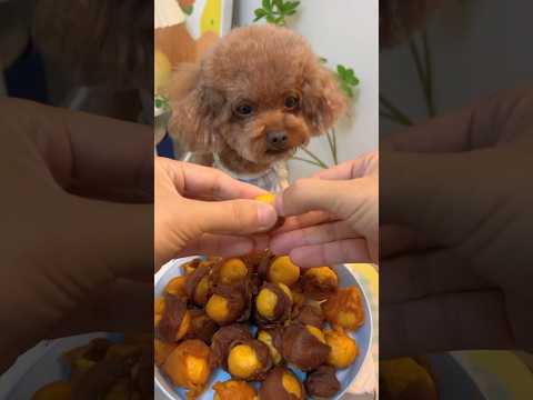 A mouthful of meat and a bite of egg yolk, no puppy can refuse the delicious food, itโs so fragrant