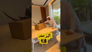 وصلت أكبر سيارة !