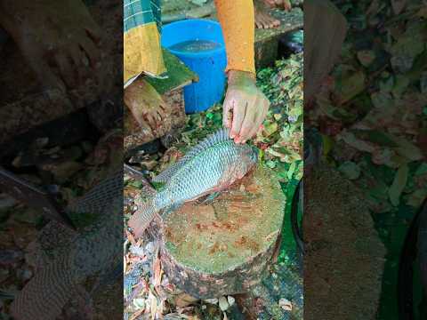Large Giant Size Tilapia Fish Cutting Skills In Fish Market😱😳 || #shorts #fishcutting_videos