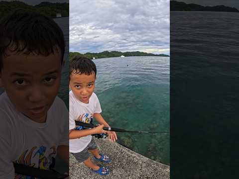 🎣🏝️ TRALALERO CATCH AND RELEASE 😂😂🇵🇼 #fishing #micronesia #palau