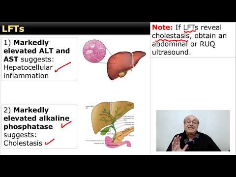 Liver Function Tests (LFTs)