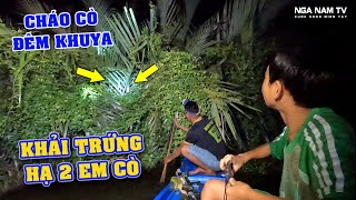 Săn Đêm Bằng Võ Lãi Trúng Bầy Chim Đang Ngủ Thấy Mê Và Nồi Cháo Cò Đêm Khuya Dân Dã/NGÃ NĂM TV