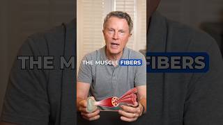 This Vitamin Deficiency Weakens your Legs