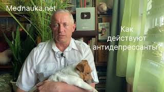 Как действуют антидепрессанты?