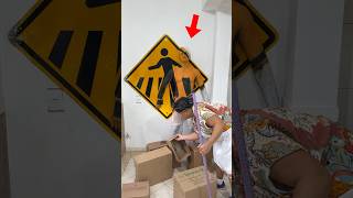 MECCHA CHAMELEON NA VIDA REAL