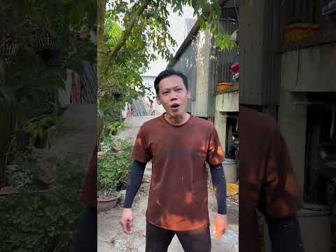 Cha nào con nấy |TeamHoài PhongTV #Shorts