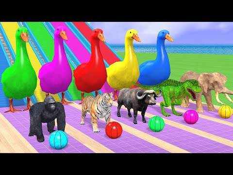 Basket Ball Game Game With Cow Elephant Gorilla Tiger Dinosaur Wild Animal Escape Cage Game