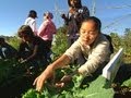 Edible Schoolyard and Composting Concepts