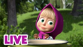 🔴 EN VIVO TV 📺 Masha y el Oso Castellano 💃🎶 La última fiesta de Flamenco 🎉🌹 Masha and the Bear