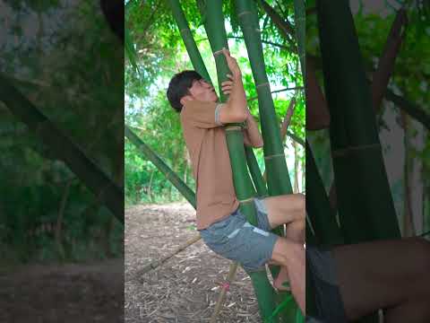 lakban serbaguna #bocahkentang