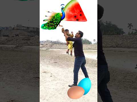 Rounding watermelon to Duck, Peacock, Pigeon & Parrot - Birds names magic video