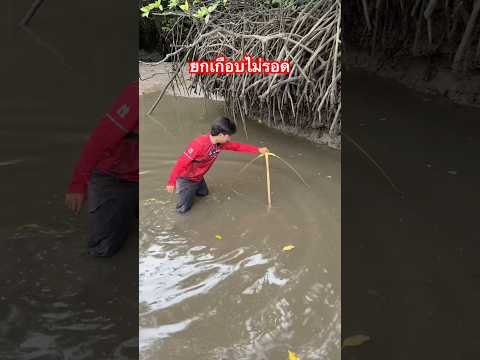 หนักมาก ยกเกือบไม่ขึ้น #ประมงพื้นบ้าน