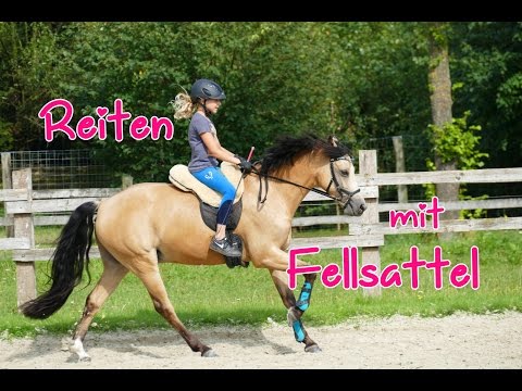 Lia & Alfi - FMA Stallalltag und Reiten mit Fellsattel