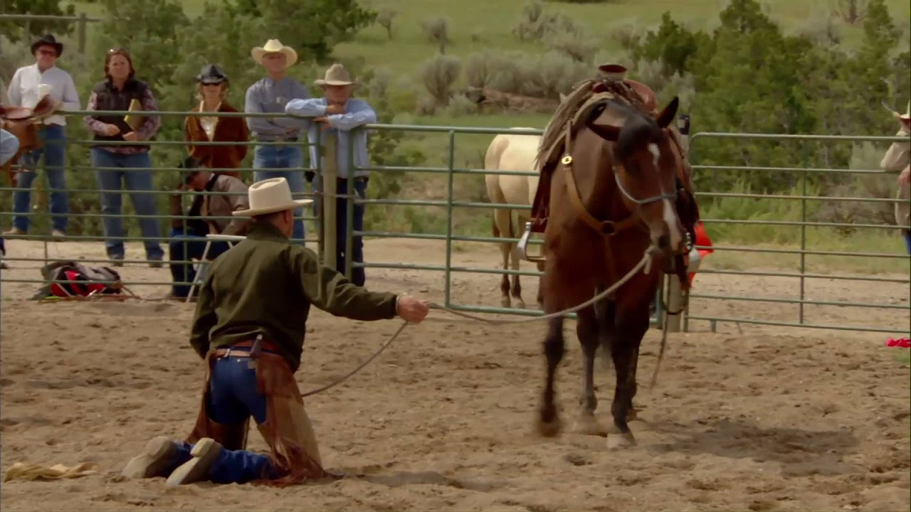 Buck - Der wahre Pferdeflüsterer Vorschaubild des Trailers