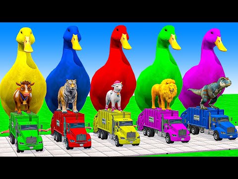 Long Slide Game With Cow Elephant Gorilla Hippopotamus Tiger - 3d Animal Game - Funny 3d Animals