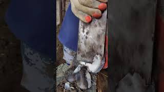 Master Sun repairs donkey hooves, his skills are amazing！ #Shorts