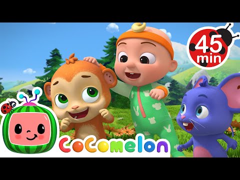 What is Your Name Song  CoComelon Animal Time Nursery Rhymes for