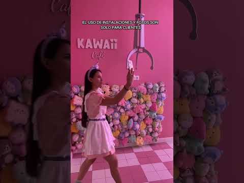 NORMAS de Kawaii Café
