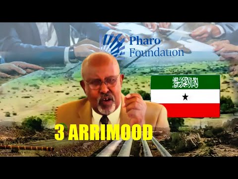 Xogta 3 Arrimood Oo Ku Qarsoon Mashruuca Banka Wajaale, Daah-furnaan La'aanta & Xiisadda Taagan