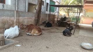 Sleeping time _ 20260212