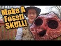 Creating Skull Replicas and Intelligence