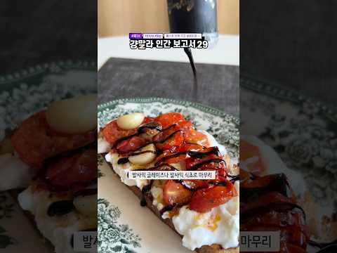 걍말라 인간 보고서 [시즌14_29]토마토 마늘 콩피 토스트,김치만두, 된장라면 251007