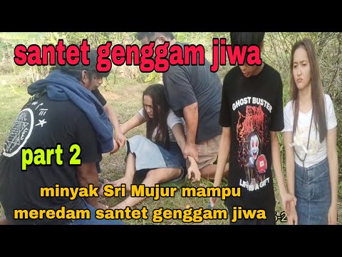 PROSES PEMBUKTIAN SRI MUJUR @suwajiofficial1608